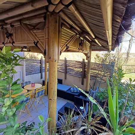 Studio 10M2, Terrasse 18M2 , Parking, Piscine Et Accueille Les Animaux Quissac  Exteriér fotografie